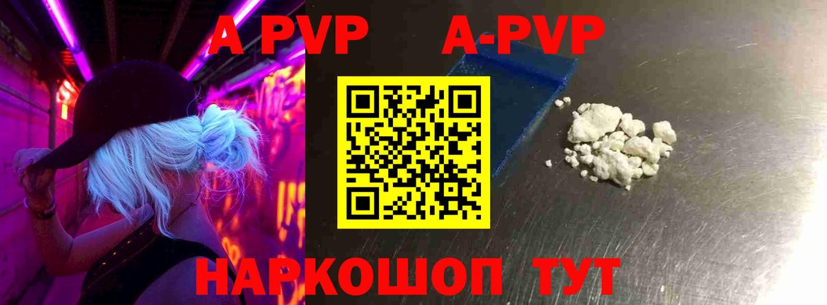 A PVP СК КРИС Долгопрудный