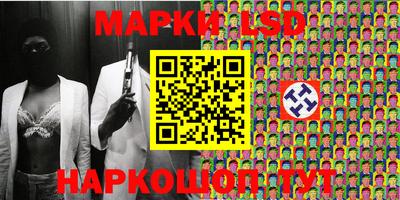 шишки Можга