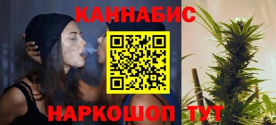 шишки Можга