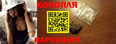 сатива Моздок